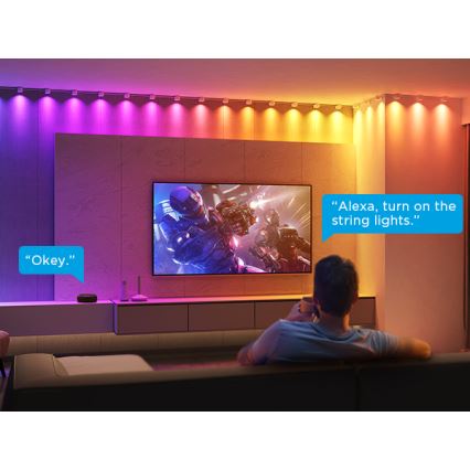 Govee - RGBIC LED String Downlights 3м Wi-Fi