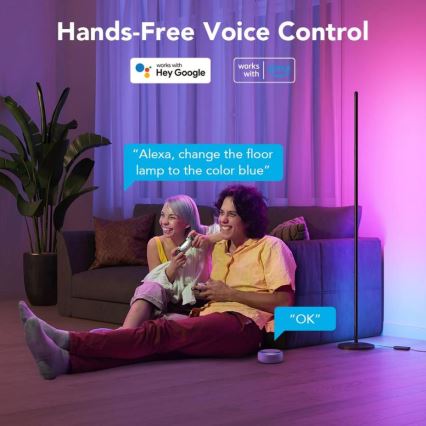 Govee - RGBICW Smart Corner Floor Lamp Wi-Fi