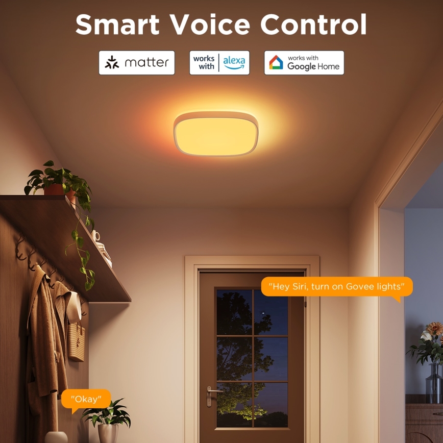 Govee - Светодиодный потолочный RGBIC-светильник с регулированием яркости LED/24W/230V 2700-6500K Wi-Fi
