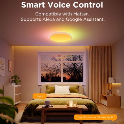 Govee - Светодиодный потолочный RGBIC-светильник с регулированием яркости LED/49W/230V 2700-6500K Wi-Fi