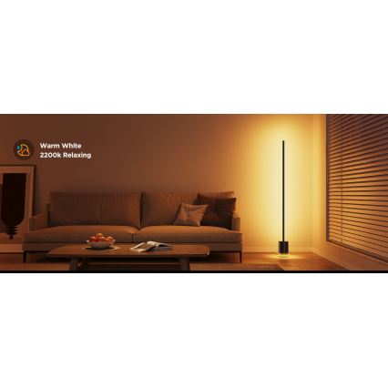Govee - Светодиодный торшер с регулированием яркости Smart MATTER LED RGBICWW 2200-6500K Wi-Fi + дистанционное управление