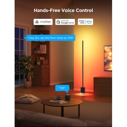 Govee - LED Торшер з регулюванням яскравості Smart MATTER LED RGBICWW 2200-6500K Wi-Fi + пульт дистанційного керування