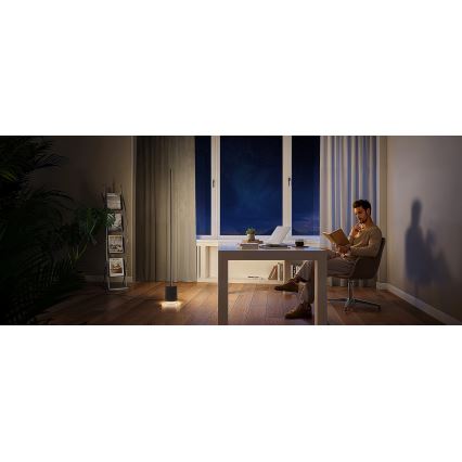 Govee - LED Торшер з регулюванням яскравості з динаміком Pro RGBICWW 2200-6500K Wi-Fi + пульт дистанційного керування