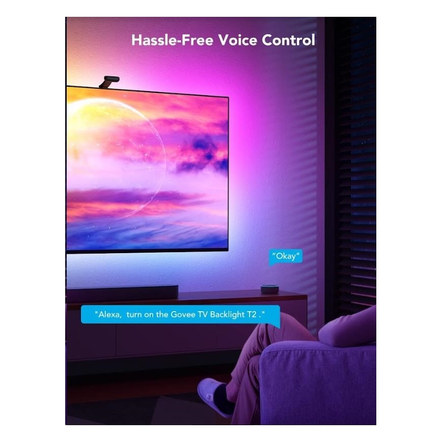 Govee - Умная подсветка DreamView T2 DUAL TV 55-65" SMART LED RGBIC Wi-Fi + дистанционное управление