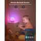 Govee - Умный светодиодный ночник с динамиком RGBIC Night Smart Wi-Fi