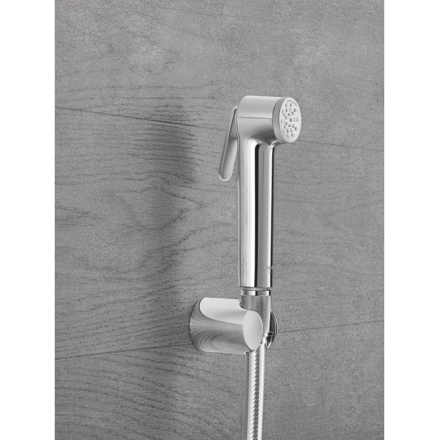 GROHE 27513001 - Ручний біде-розпилювач TEMPESTA-F 36 mm блискучий хром