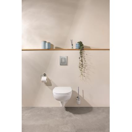 GROHE 41169000 - Набор для чистки унитаза START матовый глянцевый хром