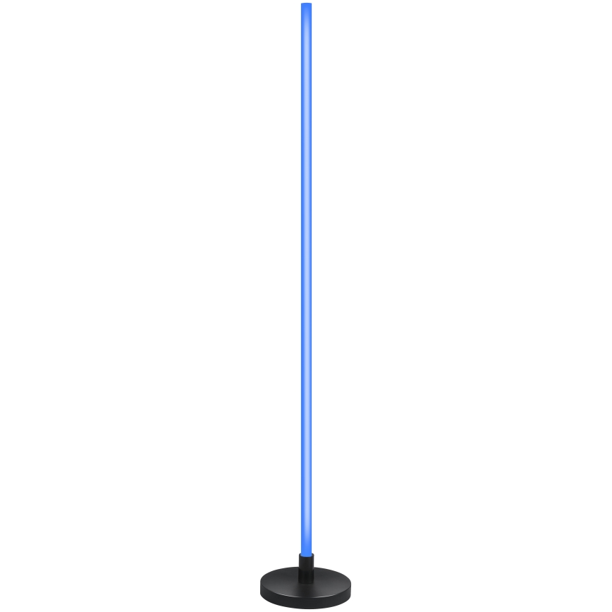 Grundig - LED RGB диммируемая напольная лампа LED/5W/5V + пульт дистанционного управления