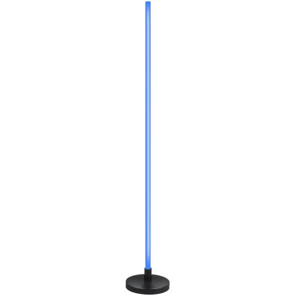 Grundig - LED RGB Торшер з регулюванням яскравості LED/5W/5V + пульт дистанційного керування