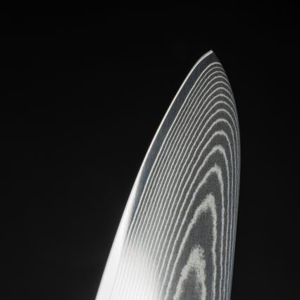 Gudaro - Дамаський шеф-кухарський ніж FENG 8, 67 шарів сталі, довжина 20 см