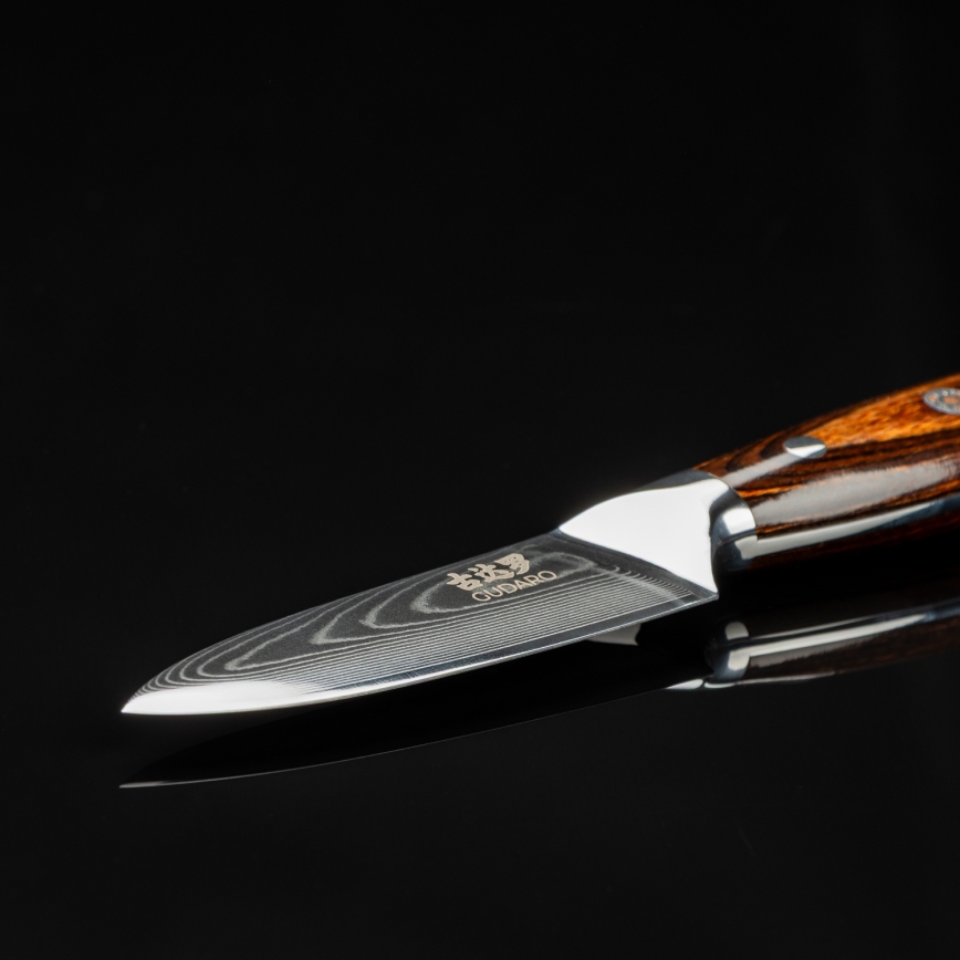 Gudaro - Дамаський кухонний ніж FENG 3,5, 67 шарів сталі, довжина 9,5 см