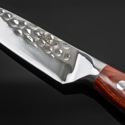 Gudaro - Дамаський кухонний ніж MIYABI 3,5, 67 шарів сталі, довжина 9,5 см