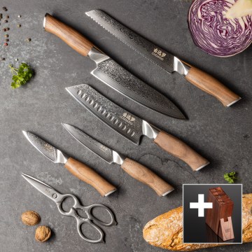 Gudaro - набор из 5 дамасских кухонных ножей TAKUMI + подставка для ножей и ножницы для разделки птицы