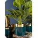 Горщик для квітів керамічний CINDY 13x13 см зелений/золотий
