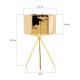 Горщик для квітів керамічний SASHI 18,2x10,7 см золотий