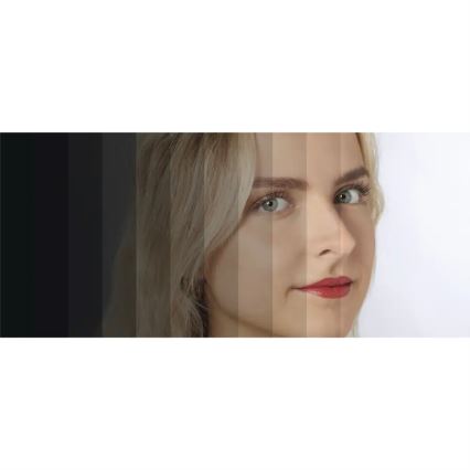 Hama - Светодиодный кольцевой светильник с регулированием яркости и штативом LED/10W/5V диаметр 30 см + дистанционное управление