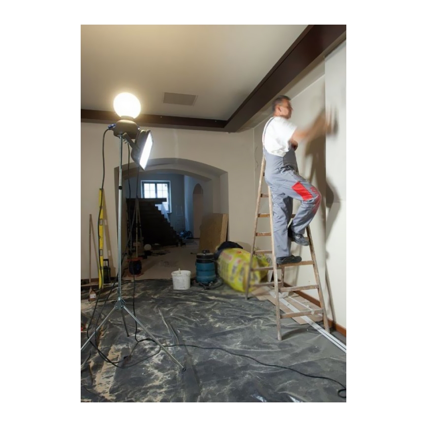 Helios 306-WLG223 - Светодиодное уличное техническое освещение WORK GLOBE 2 LED/23W/230V IP44