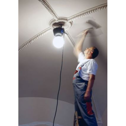 Helios 306-WLG223 - Светодиодное уличное техническое освещение WORK GLOBE 2 LED/23W/230V IP44