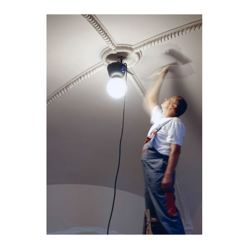 Helios 306-WLG223 - Вуличне технічне LED освітлення WORK GLOBE 2 LED/23W/230V IP44