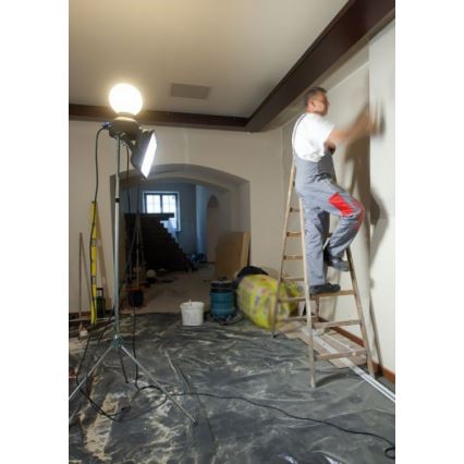 Helios 306-WLG223 - Вуличне технічне LED освітлення WORK GLOBE 2 LED/23W/230V IP44