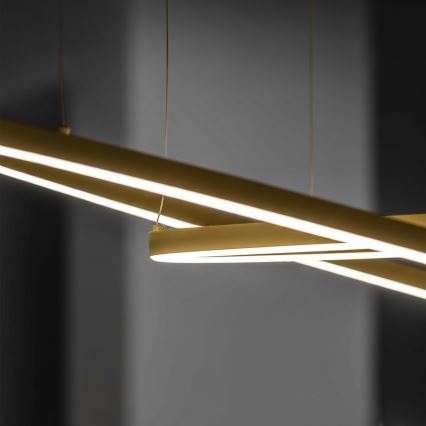 Ideal Lux - LED-люстра на тросе ORACLE SLIM LED/37W/230V 3000K CRI 90 Ø 70 см золотая