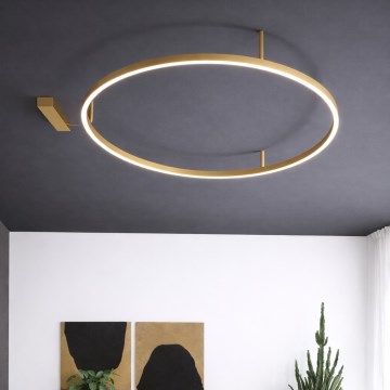 Ideal Lux - LED потолочный светильник ORACLE SLIM LED/29 Вт/230 В 3000 К CRI 90 диаметр 50 см золотой