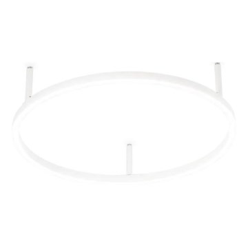 Ideal Lux - LED-стельовий світильник ORACLE SLIM, 29 Вт, 230 В, 2700 К, CRI 90, діам. 50 см, білий