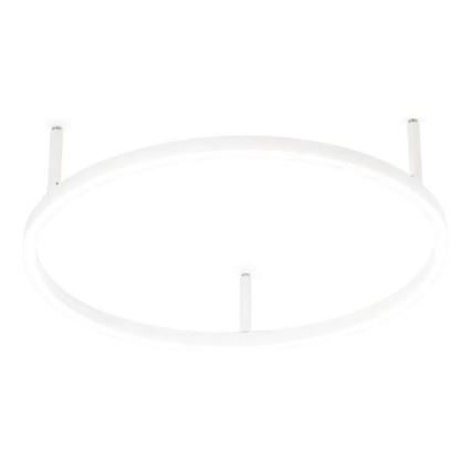 Ideal Lux - LED-стельовий світильник ORACLE SLIM, 29 Вт, 230 В, 2700 К, CRI 90, діам. 50 см, білий
