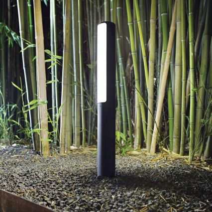 Ideal Lux - LED зовнішній світильник ETERE LED/9,5W/230V 4000K 60 cm CRI 90 IP44 антрацит