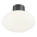 Ideal Lux - Наружный потолочный светильник CLIO 1xE27/42W/230V IP44 антрацит