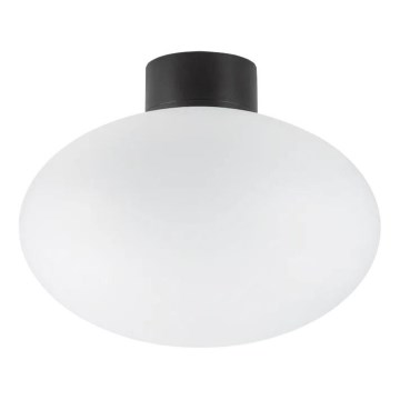 Ideal Lux - Наружный потолочный светильник CLIO 1xE27/42W/230V IP44 черный