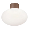 Ideal Lux - Наружный потолочный светильник CLIO 1xE27/42W/230V IP44 коричневый
