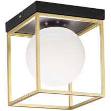 Ideal Lux - Потолочный светильник LINGOTTO 1xE14/40W/230V