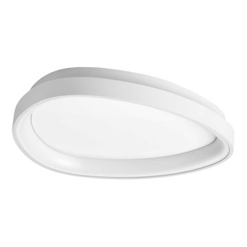 Ideal Lux - Стельовий LED світильник GEMINI LED/23W/230V діаметр 42,5 см CRI 90 білий