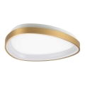 Ideal Lux - Стельовий LED світильник GEMINI LED/23W/230V діаметр 42,5 см CRI 90 золотий