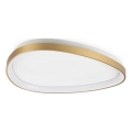 Ideal Lux - Стельовий LED світильник GEMINI LED/30W/230V діаметр 61 см CRI 90 золотий