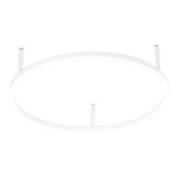 Ideal Lux - Стельовий LED світильник ORACLE SLIM LED/29W/230V 4000K діаметр 50 см білий