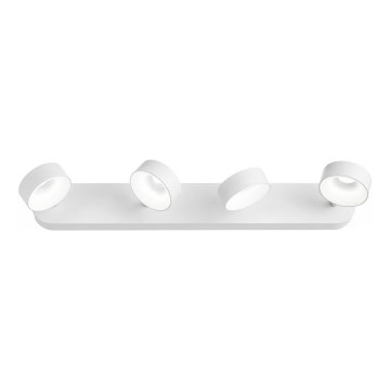 Ideal Lux - Светодиодный настенный точечный светильник OBY 4xLED/6W/230V CRI 90 белый