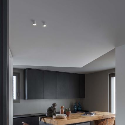 Ideal Lux - Светодиодный точечный светильник NITRO LED/10W/230V диаметр 8 см CRI 90 белый