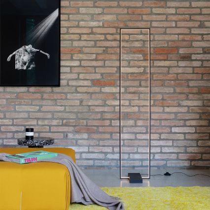 Ideal Lux - Світлодіодний торшер FRAME LED/30W/230V чорний