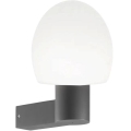Ideal Lux - Уличный настенный светильник CLIO 1xE27/42W/230V IP44 антрацит