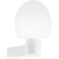 Ideal Lux - Уличный настенный светильник CLIO 1xE27/42W/230V IP44 белый