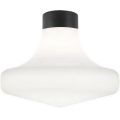 Ideal Lux - Уличный потолочный светильник CLIO 1xE27/42W/230V IP44 черный