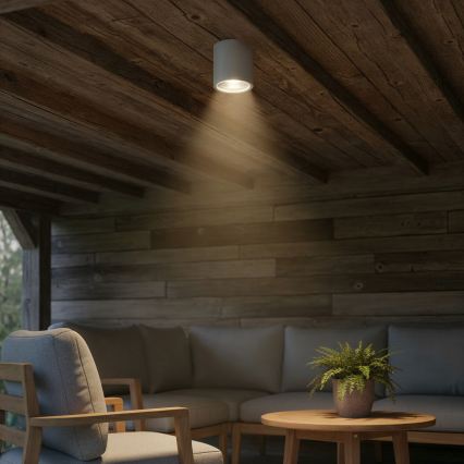 Ideal Lux - Уличный точечный светильник GUN 1xGU10/28W/230V IP55 серый