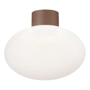 Ideal Lux - Вуличний стельовий світильник CLIO 1xE27/42W/230V IP44 коричневий
