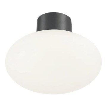 Ideal Lux - Зовнішній стельовий світильник CLIO 1xE27/42W/230V IP44 антрацит