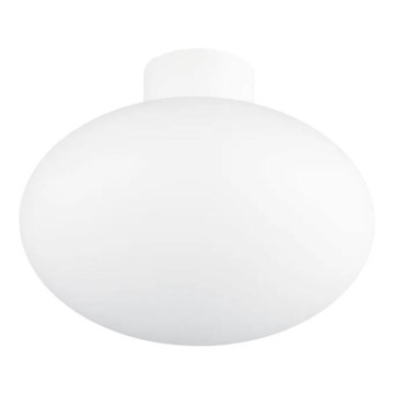 Ideal Lux - Зовнішній стельовий світильник CLIO 1xE27/42W/230V IP44 білий