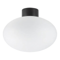 Ideal Lux - Зовнішній стельовий світильник CLIO 1xE27/42W/230V IP44 чорний