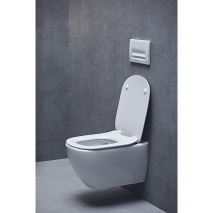 Ideal Standard T552201 - сидіння для унітазу SoftClose TESI біле