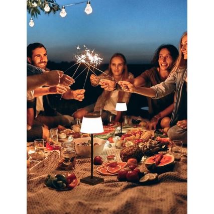 LED з регулюванням яскравості вулична сонячна лампа з датчиком LED/4W/5V IP44